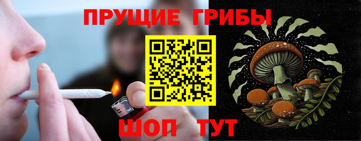 где купить   Галлюциногенные грибы мухоморы  Вход с VPN  Усть-Илимск  Псилоцибиновые грибы ЛСД 